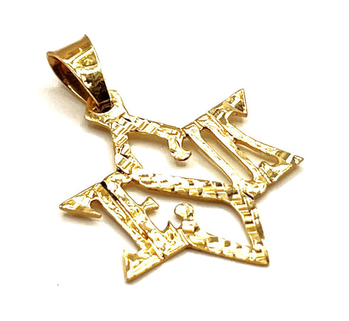14k Gold ‘JESUS Star of David’ Necklace