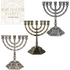 12 Tribes Temple 7 Branch Menorah 13 CM