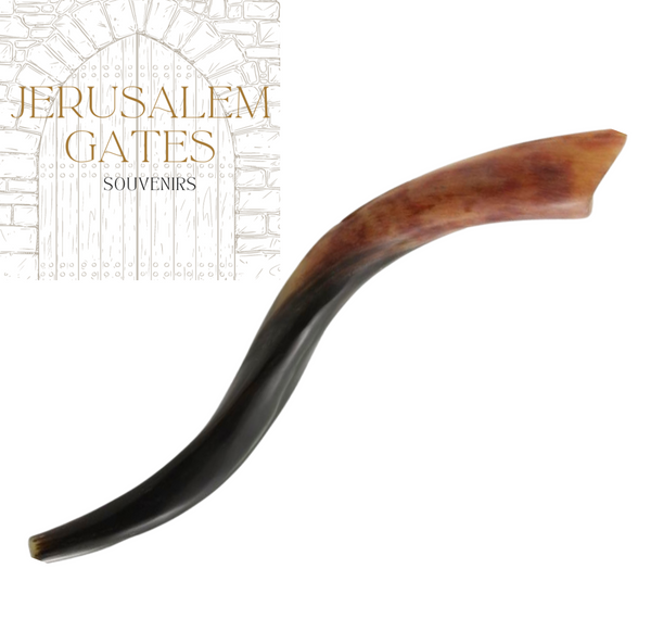 Yemenite Kudu Polished Shofar (Small)