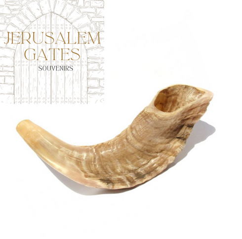 Natural Rams Horn Shofar