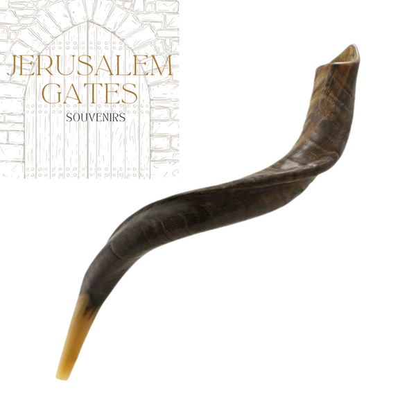 Yemenite Medium Natural Shofar (Medium)