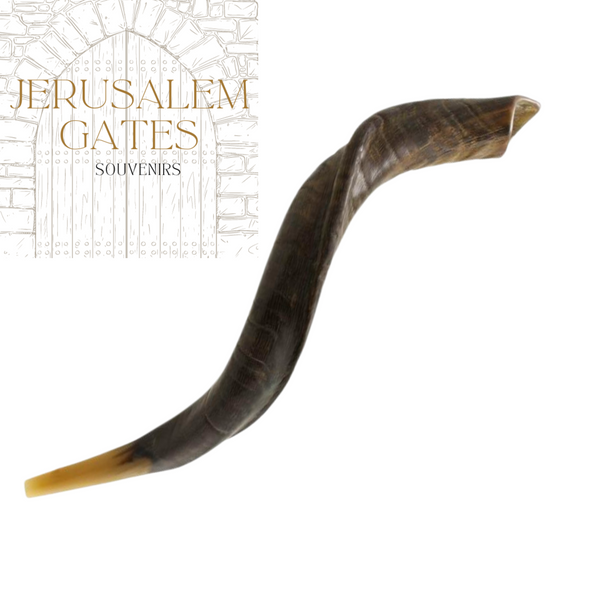 Yemenite Kudu Natural Shofar (Small)