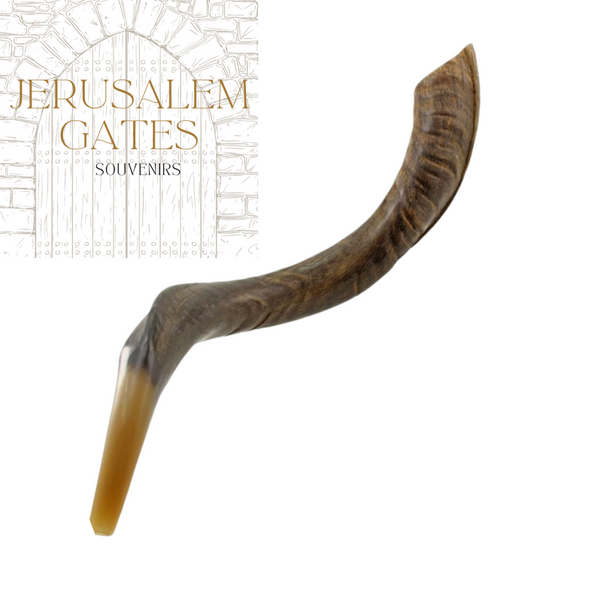 Yemenite Kudu Natural Shofar (Large)