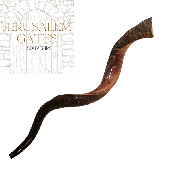 Yemenite Kudu Half Polished Shofar (Large)
