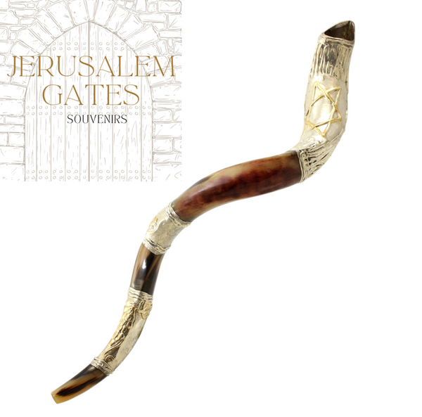 Silver Plated Kudu Yemenite Star Of David Shofar