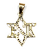 14k Gold ‘JESUS Star of David’ Necklace