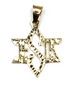 14k Gold ‘JESUS Star of David’ Necklace