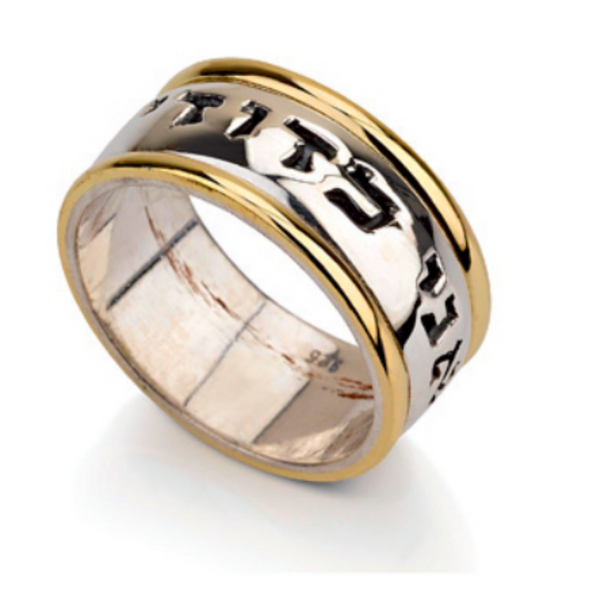 14k Two Tone Gold Ani L'Dodi Spinner Solid Spinning Band Wedding Ring