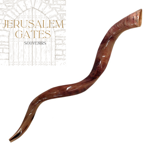 Yemenite Kudu Polished Shofar (X Large)