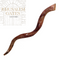 Yemenite Kudu Polished Shofar (X Large)